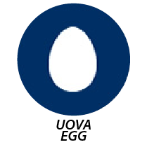 Allergene Uova - Egg